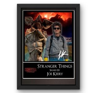 Stranger Things: Steve Harrington Version 1 Signed Display - Framed