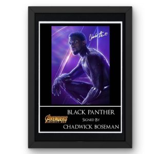 Avengers: Black Panther Signed Display - Framed
